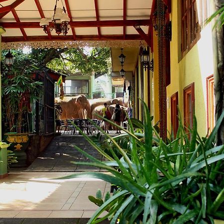Green Land Guest House Pinnawala  Exterior foto