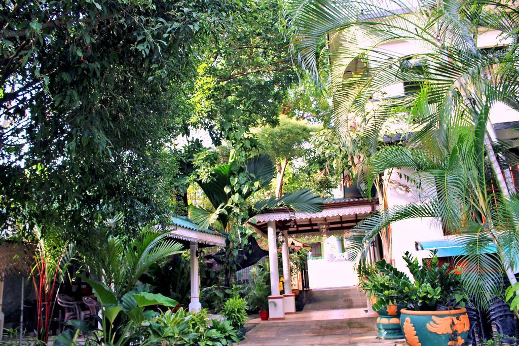 Green Land Guest House Pinnawala  Exterior foto
