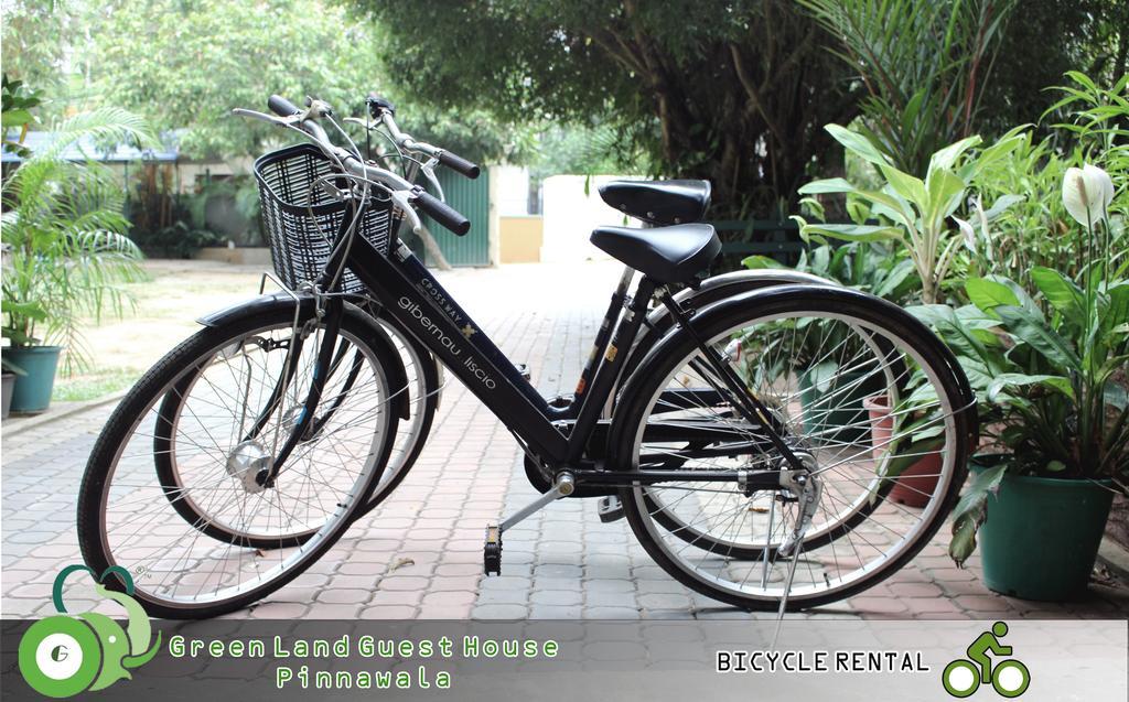 Green Land Guest House Pinnawala  Exterior foto