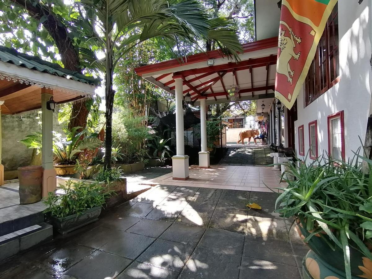 Green Land Guest House Pinnawala  Exterior foto